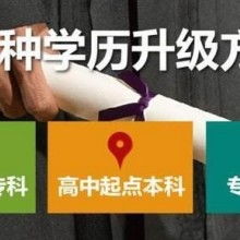 成都市金牌思維教育咨詢有限責任公司 專業教育咨詢，點亮成長之路