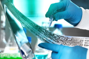 2019年，教育咨詢服務公司經營范圍的“黃金寫法”，讓你賺翻的秘訣